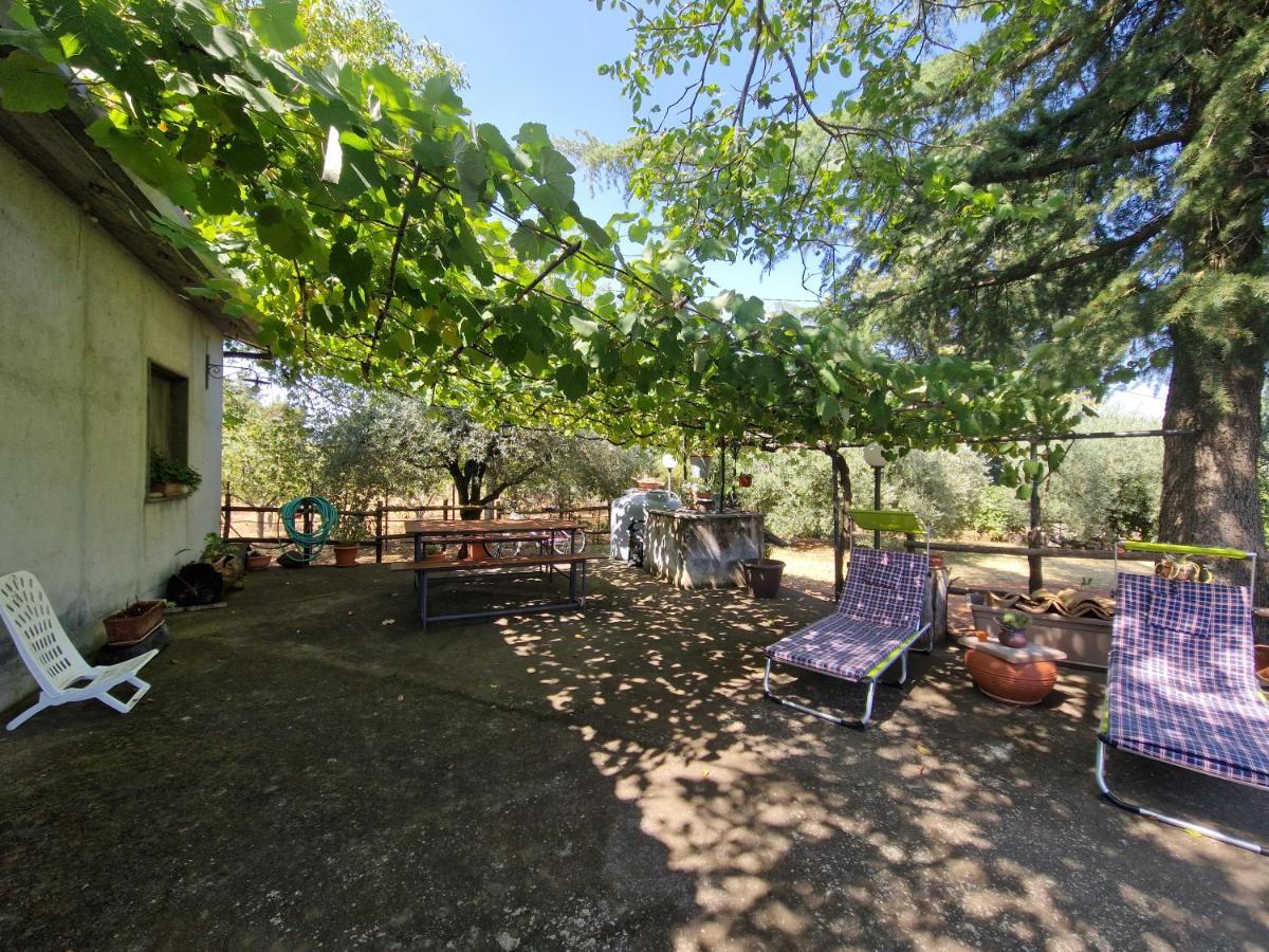 布龙泰La Casa Di Giulia别墅 外观 照片