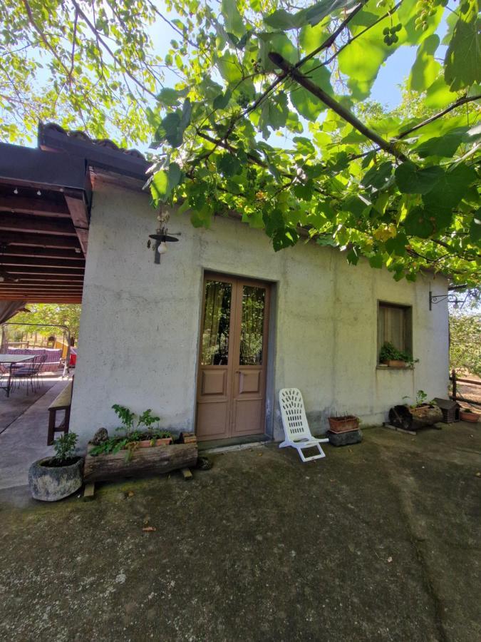 布龙泰La Casa Di Giulia别墅 外观 照片